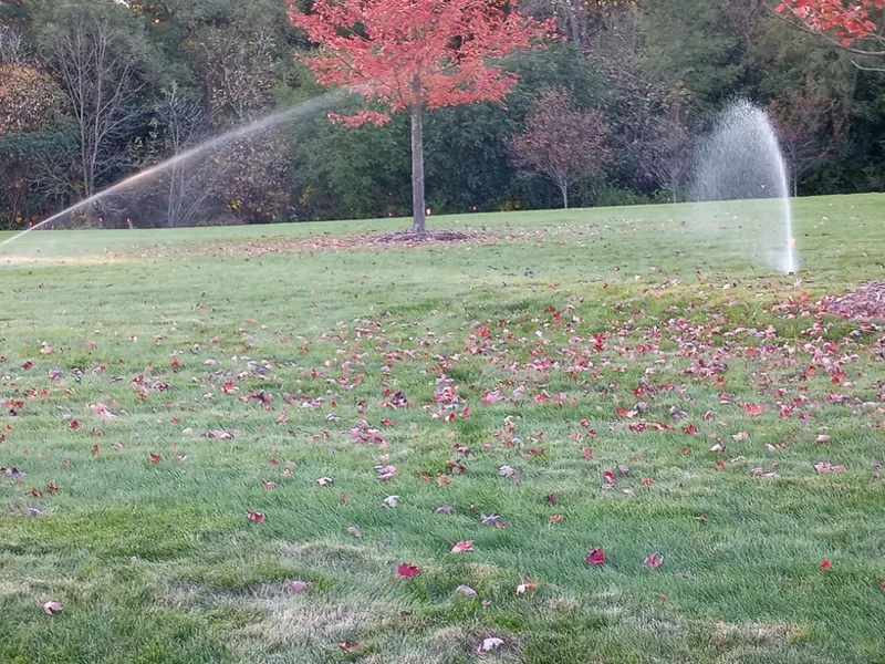 Fall winterization