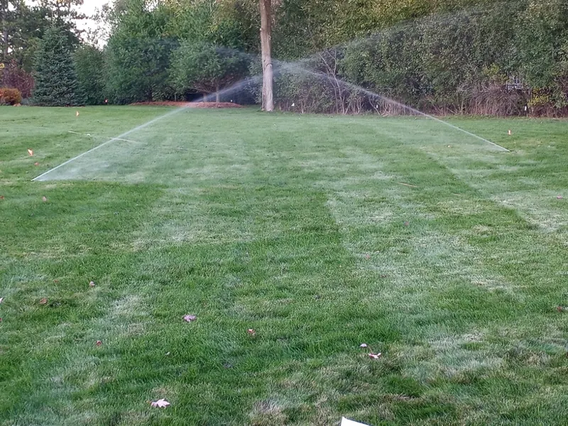 Spring startup